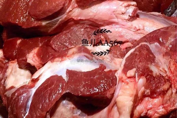 酱马肉的做法图解1