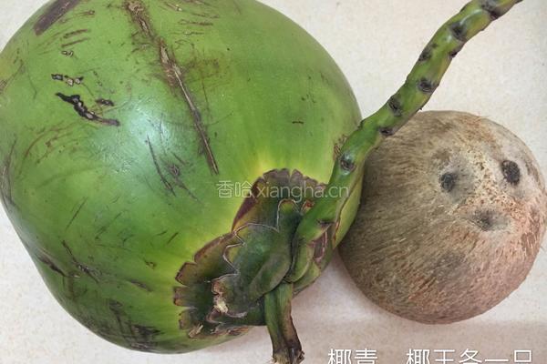 椰汁乌骨鸡粥的做法图解2
