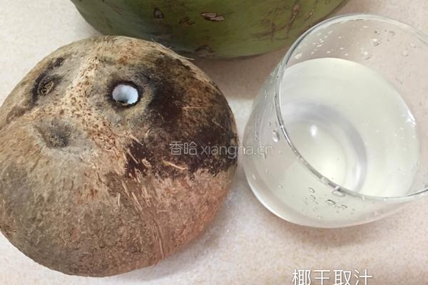 椰汁乌骨鸡粥的做法图解4
