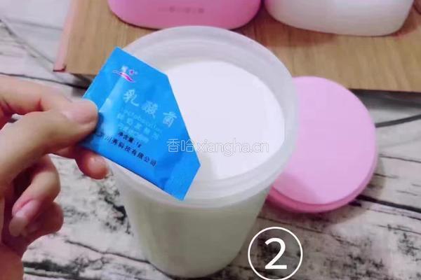 自制老酸奶的做法图解2