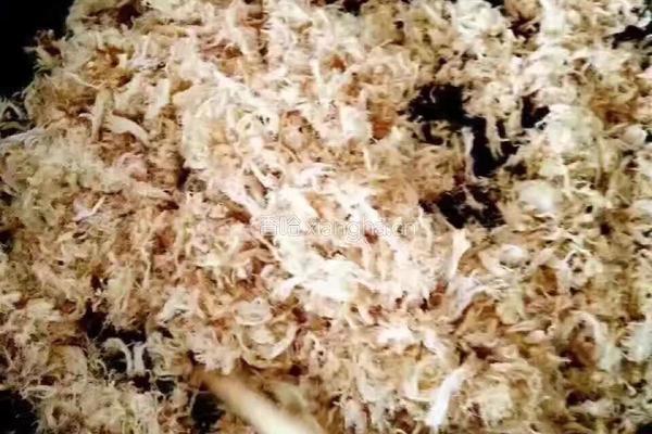 自制肉松的做法图解3