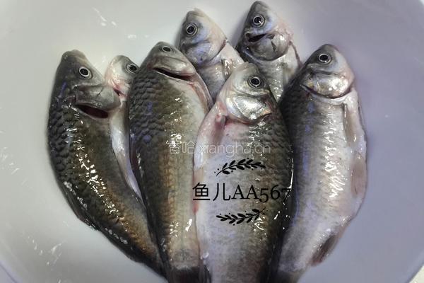 酥鲫鱼的做法图解2