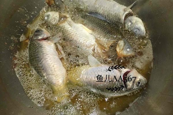 红烧鲫鱼的做法图解2