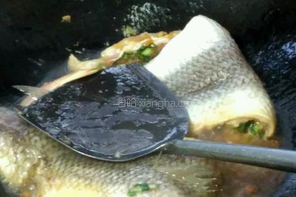 葱香鱼饼的做法图解8