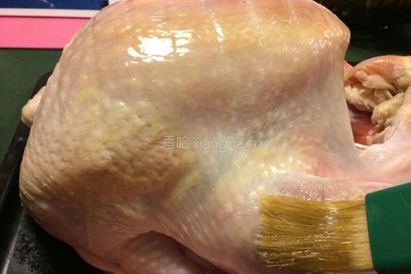 原味烤全火鸡的做法图解4