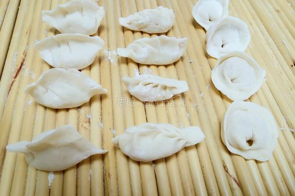 白萝卜香菇饺子的做法图解15