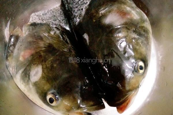 双椒鱼头的做法图解3