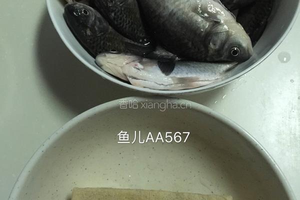 鲫鱼炖冻豆腐的做法图解1