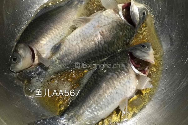 鲫鱼炖冻豆腐的做法图解2