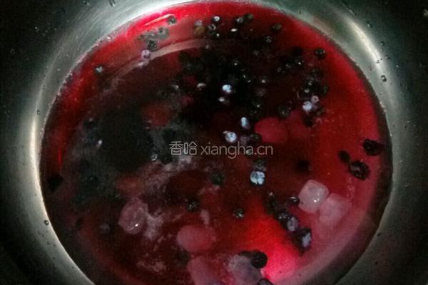 自制蓝莓汁的做法图解5