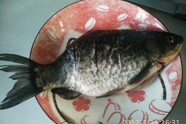 鲫鱼炖豆腐的做法图解1