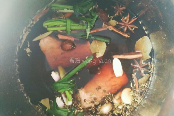 卤肉的做法图解10