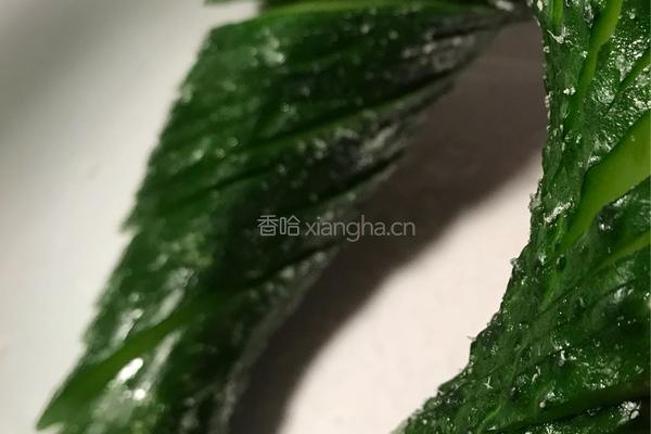 鱼皮黄瓜的做法图解3