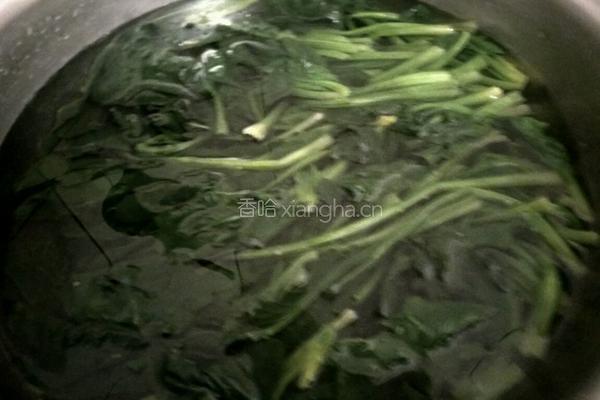 凉拌菠菜的做法图解3