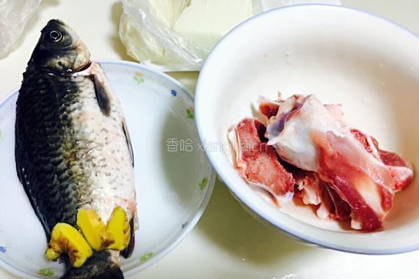 筒骨鲫鱼豆腐汤的做法图解1