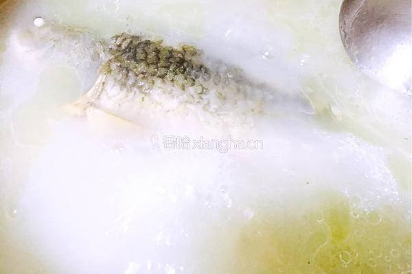筒骨鲫鱼豆腐汤的做法图解8