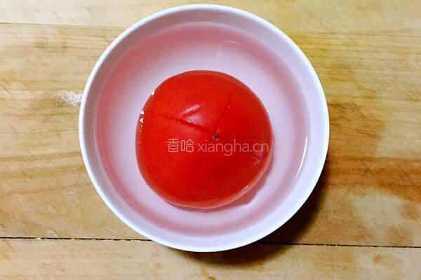 西红柿炒西葫芦的做法图解4