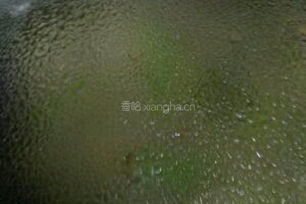 牛肉焖豆角的做法图解11