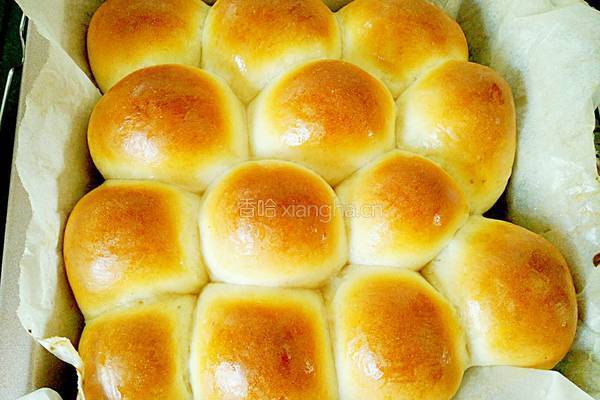 奶香软面包的做法图解9