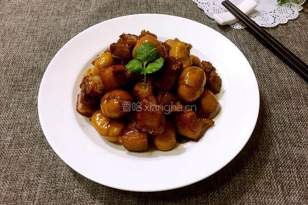 板栗红烧肉的做法图解15