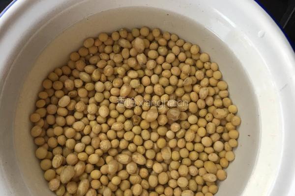 黄豆焖猪蹄的做法图解1