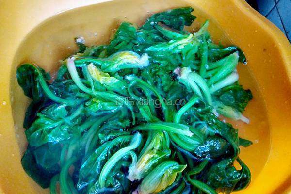 耗油菠菜的做法图解5