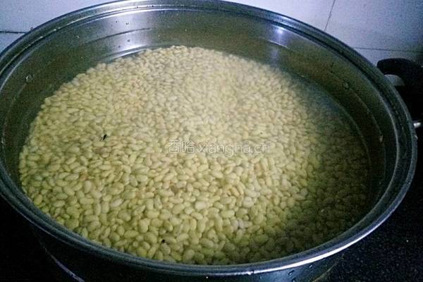 家庭版自制豆豉的做法图解3