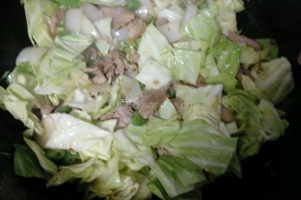 甘蓝菜炒肉的做法图解6