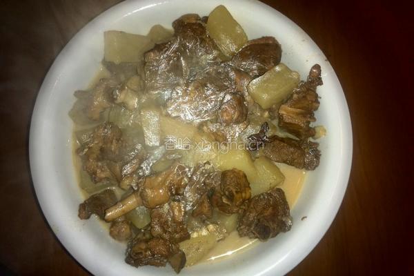 白萝卜炖鸭肉的做法图解10