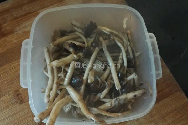 干锅茶树菇的做法图解5