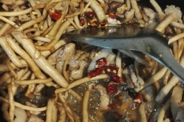 干锅茶树菇的做法图解8
