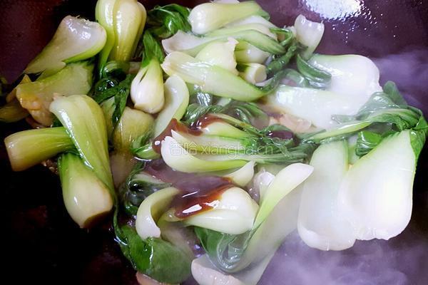 蚝油油菜的做法图解9