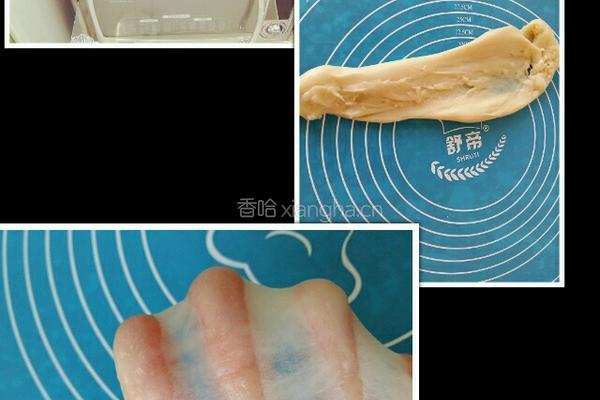 老婆饼（香椰芝麻糯米馅）的做法图解6