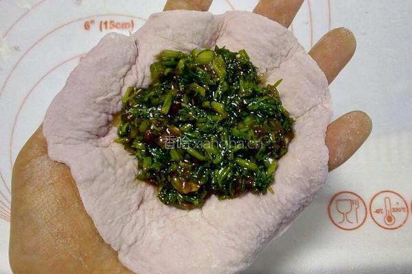 紫色茴香猪肉包的做法图解11
