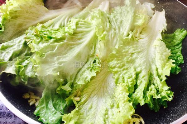 蚝油生菜的做法图解4