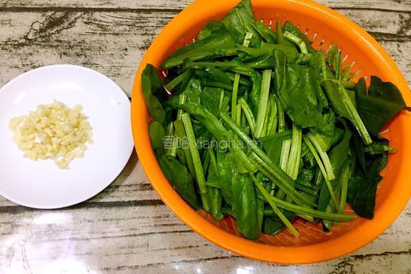 蒜蓉菠菜的做法图解2