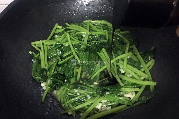 蒜蓉菠菜的做法图解5