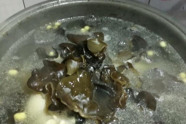 小黄豆炖猪脚肉骨头的做法图解8
