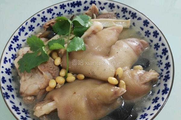 小黄豆炖猪脚肉骨头的做法图解10