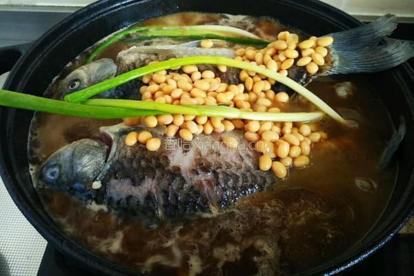 黄豆炖鲫鱼的做法图解7