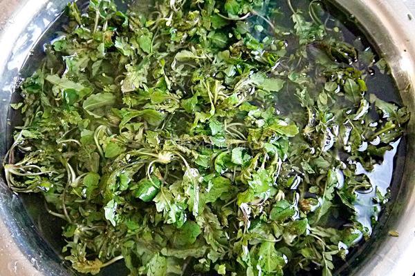 荠菜肉包子的做法图解6