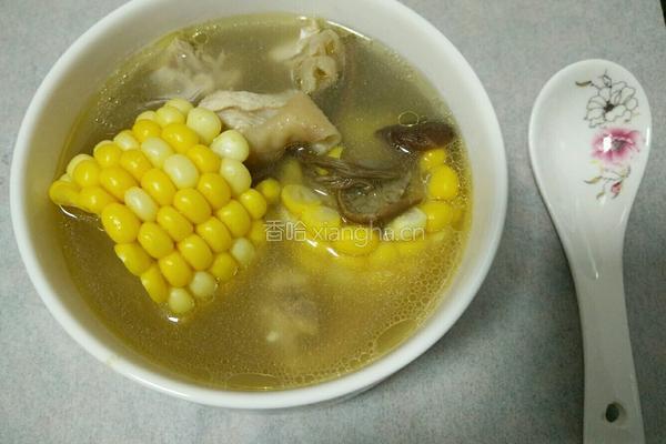 茶树菇玉米老鸡汤的做法图解9