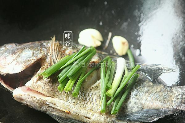 红烧鱼的做法图解6