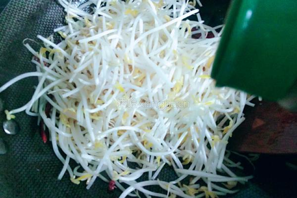 炝爆绿豆芽的做法图解5