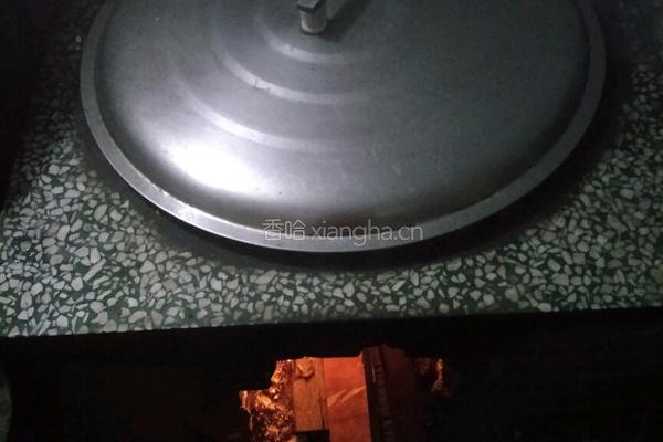 大铁锅炖肉的做法图解3