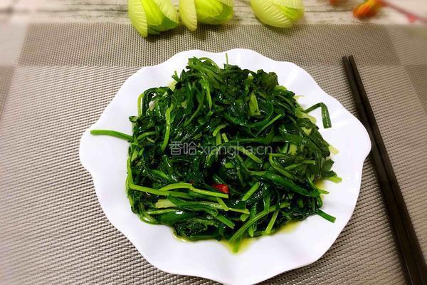 韭菜炒香菜的做法图解6
