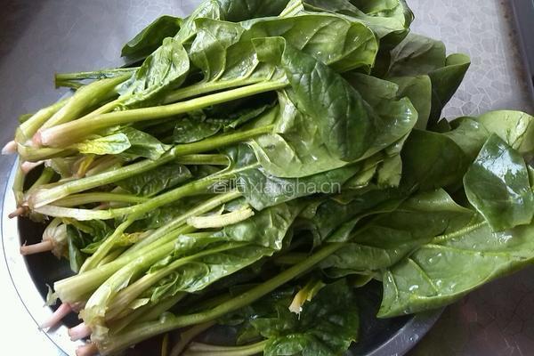 菠菜拌粉丝的做法图解2