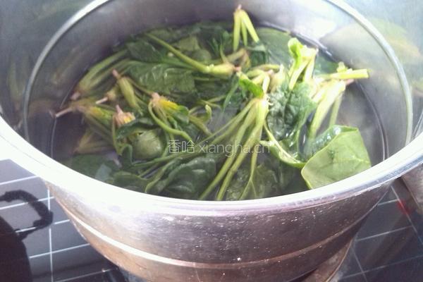 菠菜拌粉丝的做法图解4