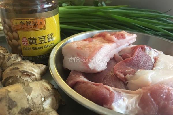 肉沫炒黄豆酱的做法图解1