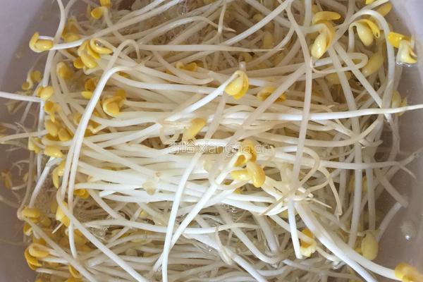 豆芽烧肉的做法图解2